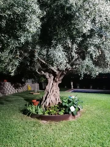 Imagen 55 Inmueble 292139 - Casa Aislada en venta en Busot / Calle lesco marques