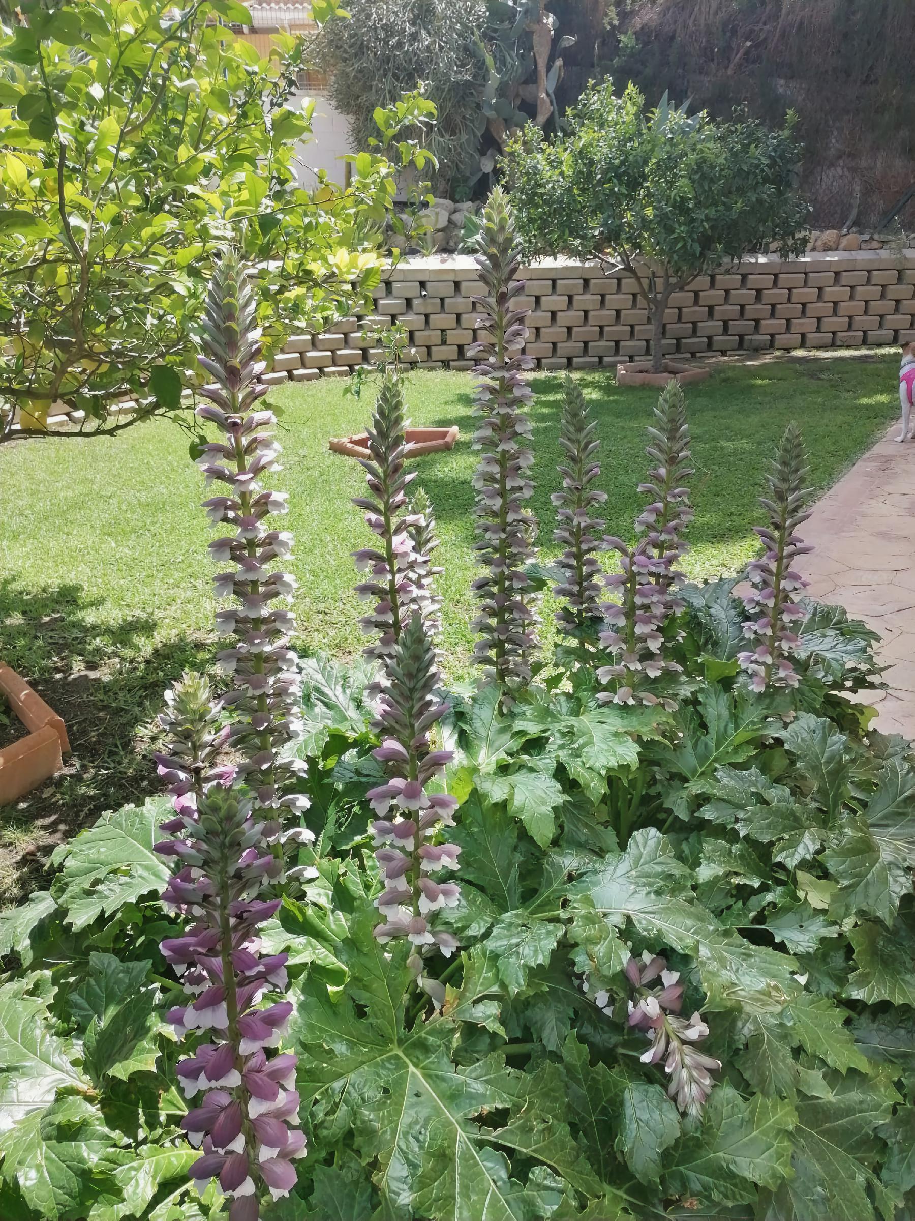 Imagen 59 Casa Aislada en venta en Busot / Calle lesco marques