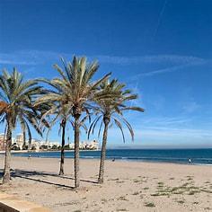 Imagen 2 Inmueble 295302 - Apto. Playa en venta en Campello (El) / Piso en la playa de muchavista