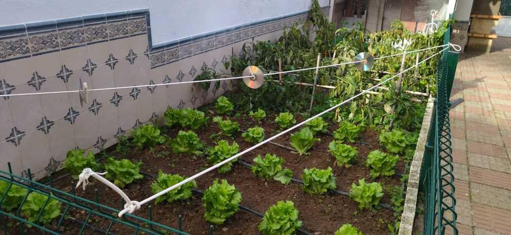 Imagen 25 Casa Aislada en venta en Villar De Rena / Vistas a la sierra ubicación con mucha luz