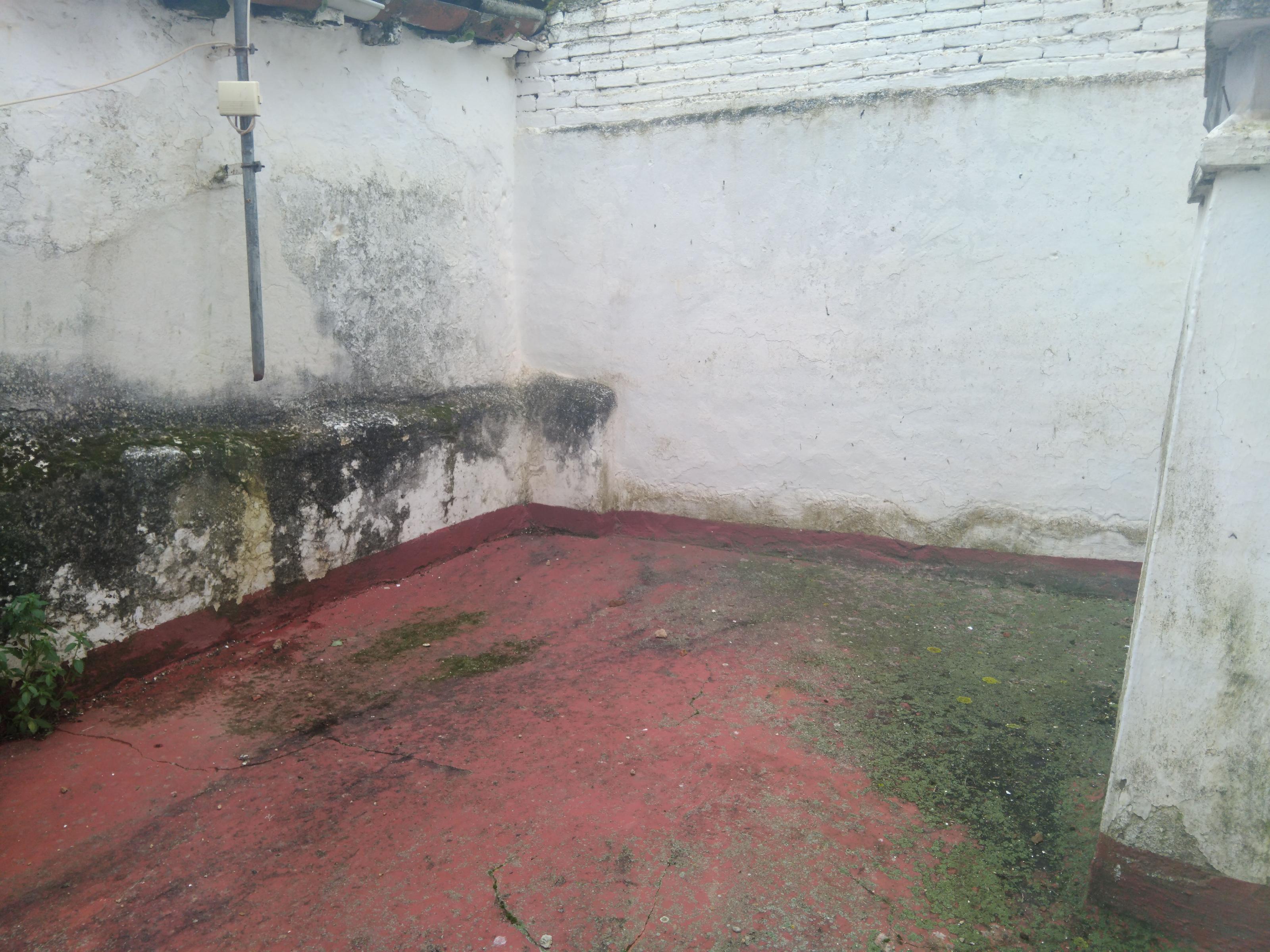 Imagen 14 Casa Pareada en venta en Arroyo De La Luz / Cerca de la famosa charca de Arroyo de la Luz