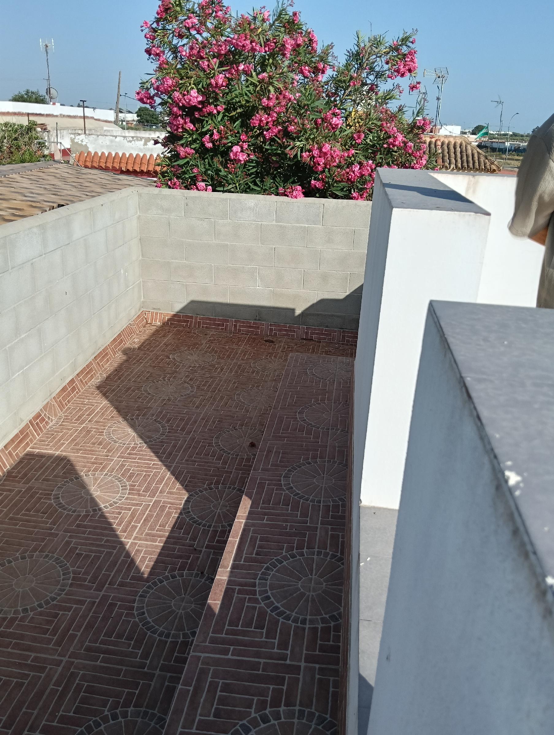 Imagen 8 Casa Aislada en venta en Chipiona / Situado a 500 m de la playa de las tres piedras.