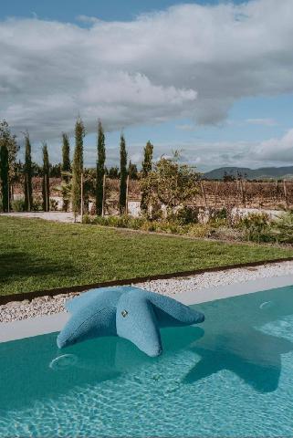 Imagen 35 Inmueble 291588 - Casa Rústica en venta en Sencelles / Entre Sencelles y Binissalem