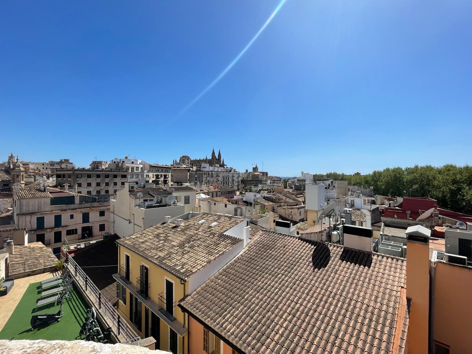 Imagen 4 Piso en venta en Palma / Junto al Paseo del Borne 