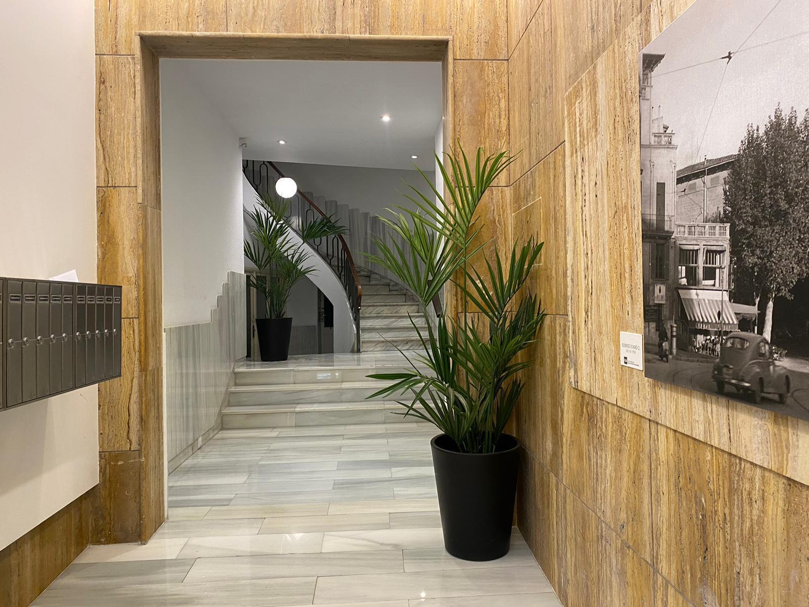 Imagen 15 Piso en venta en Palma / Junto al Paseo del Borne 