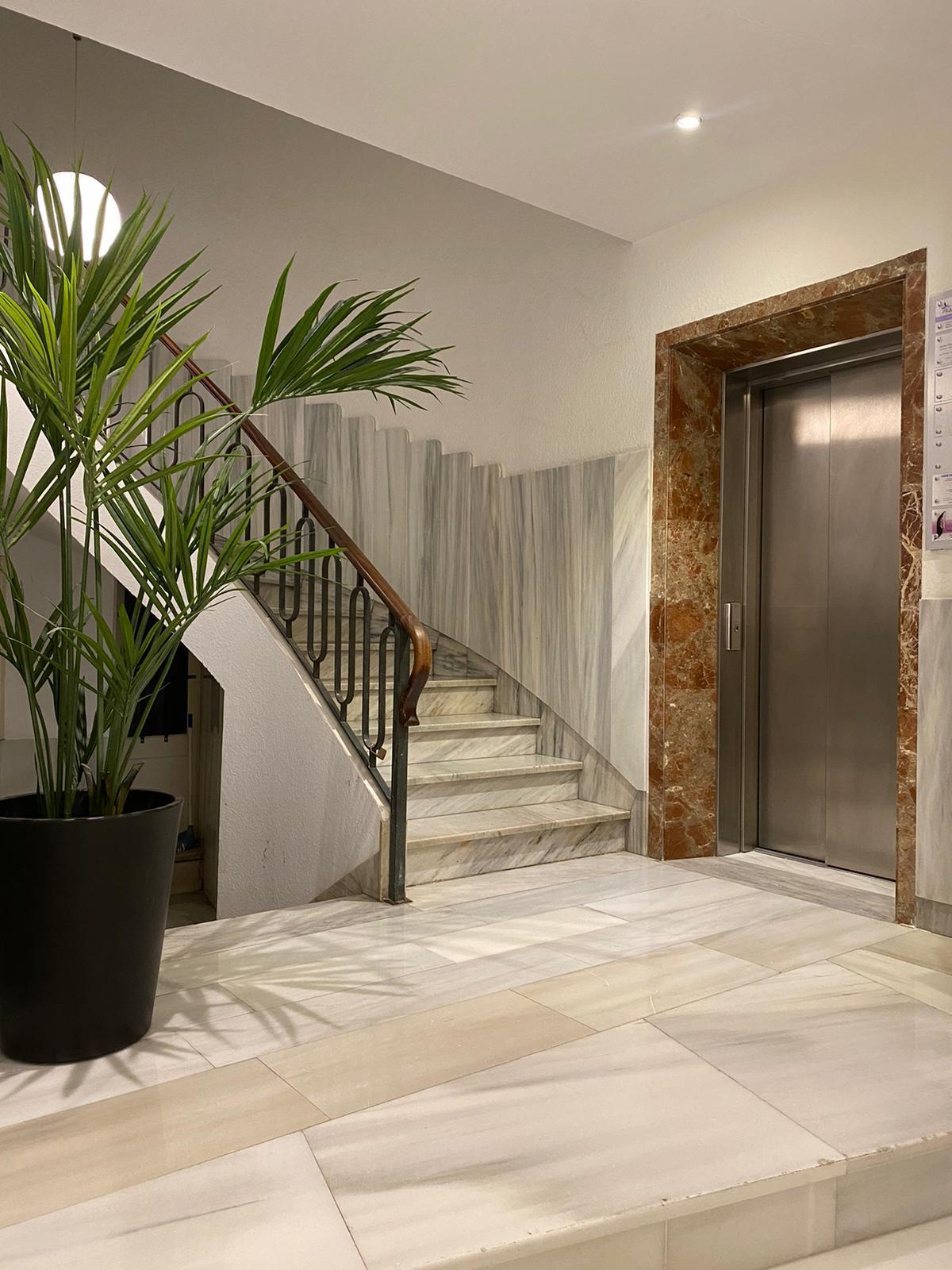 Imagen 16 Piso en venta en Palma / Junto al Paseo del Borne 