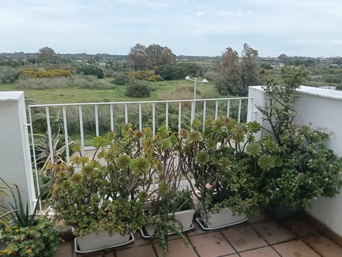 Imagen 11 Piso en venta en Rota / A 100 metros de la playa Punta Candor 