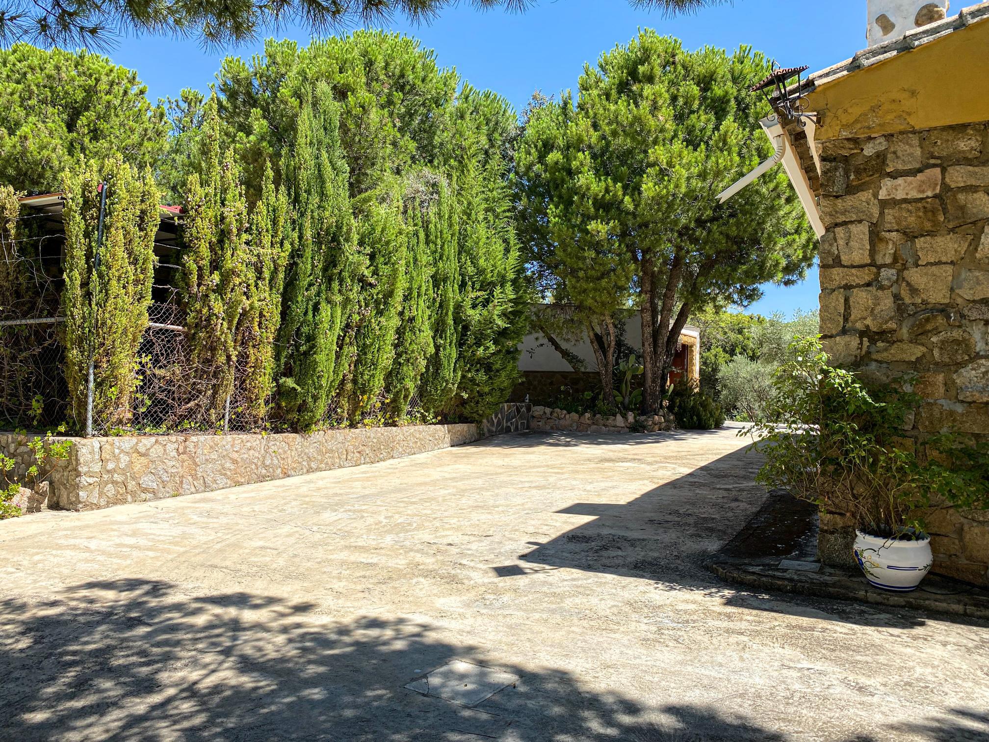 Imagen 9 Casa Rústica en venta en Andújar /  Viña junto al curce de la carretera de la Parrilla