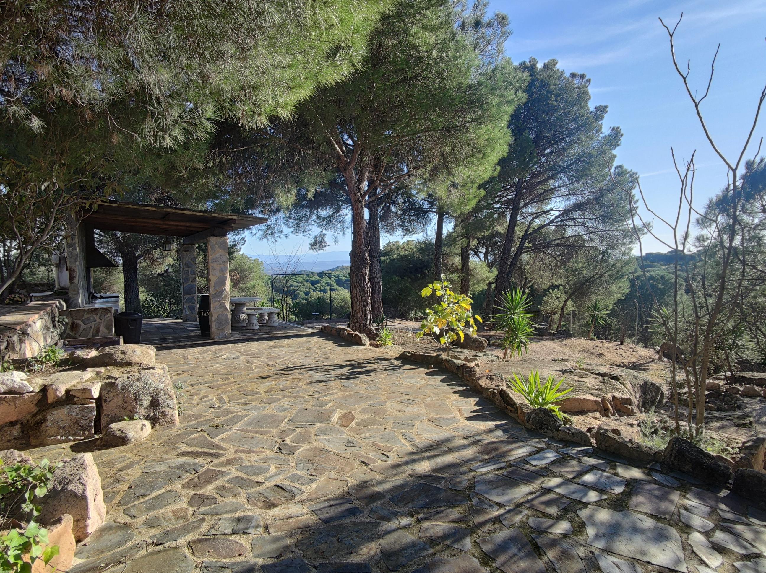 Imagen 6 Casa Rústica en venta en Andújar /  Viña junto al curce de la carretera de la Parrilla