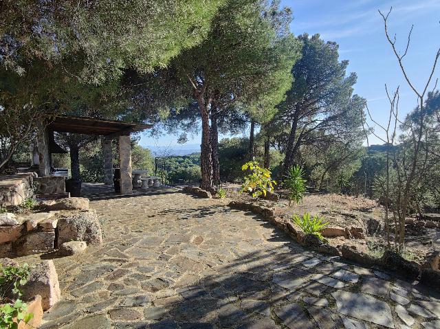 Imagen 6 Inmueble 289652 - Casa Rústica en venta en Andújar /  Viña junto al curce de la carretera de la Parrilla