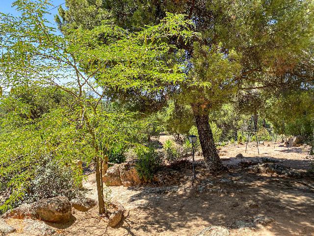 Imagen 8 Inmueble 289652 - Casa Rústica en venta en Andújar /  Viña junto al curce de la carretera de la Parrilla