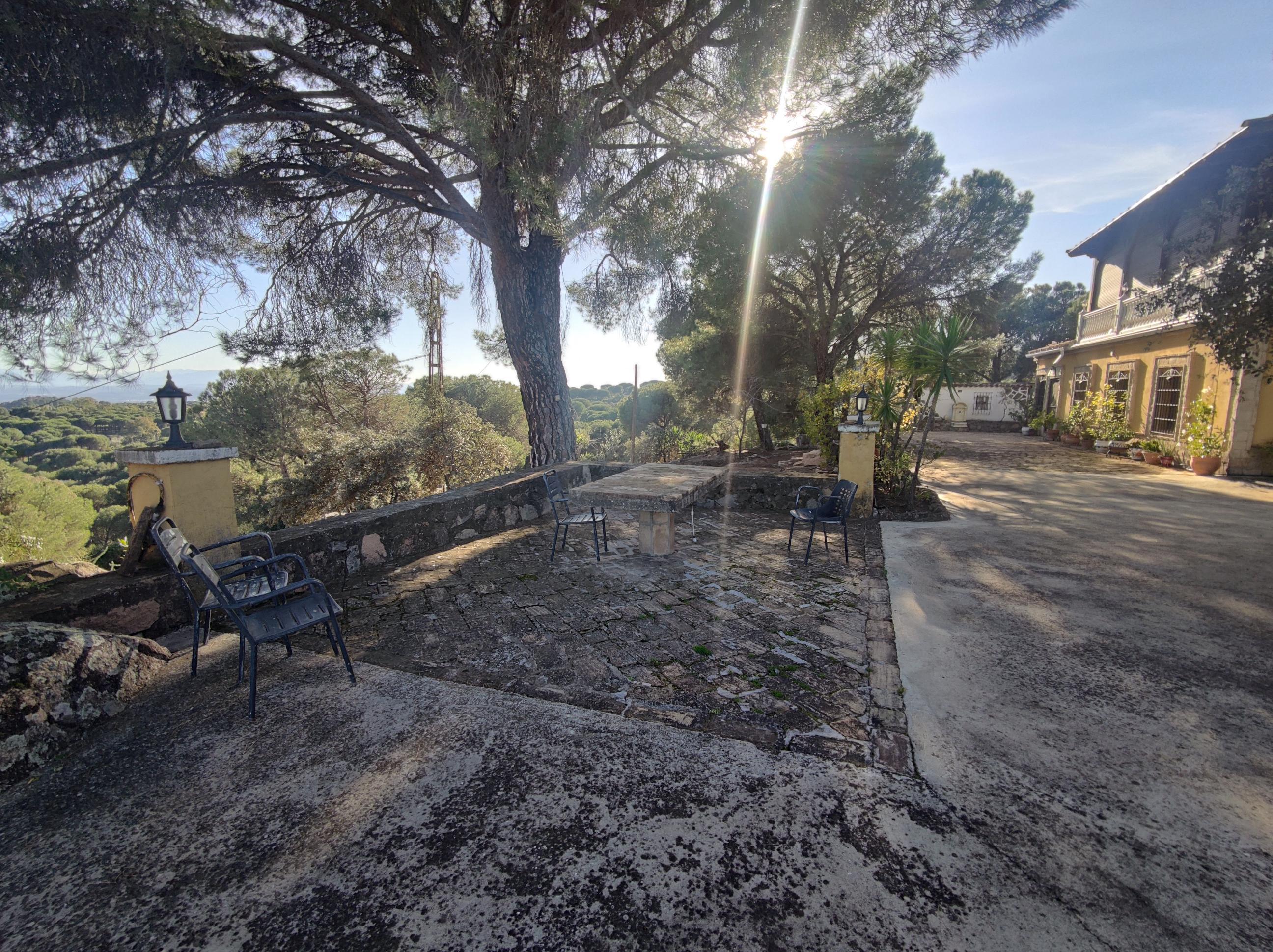 Imagen 12 Casa Rústica en venta en Andújar /  Viña junto al curce de la carretera de la Parrilla