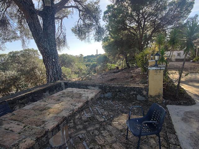 Imagen 16 Inmueble 289652 - Casa Rústica en venta en Andújar /  Viña junto al curce de la carretera de la Parrilla