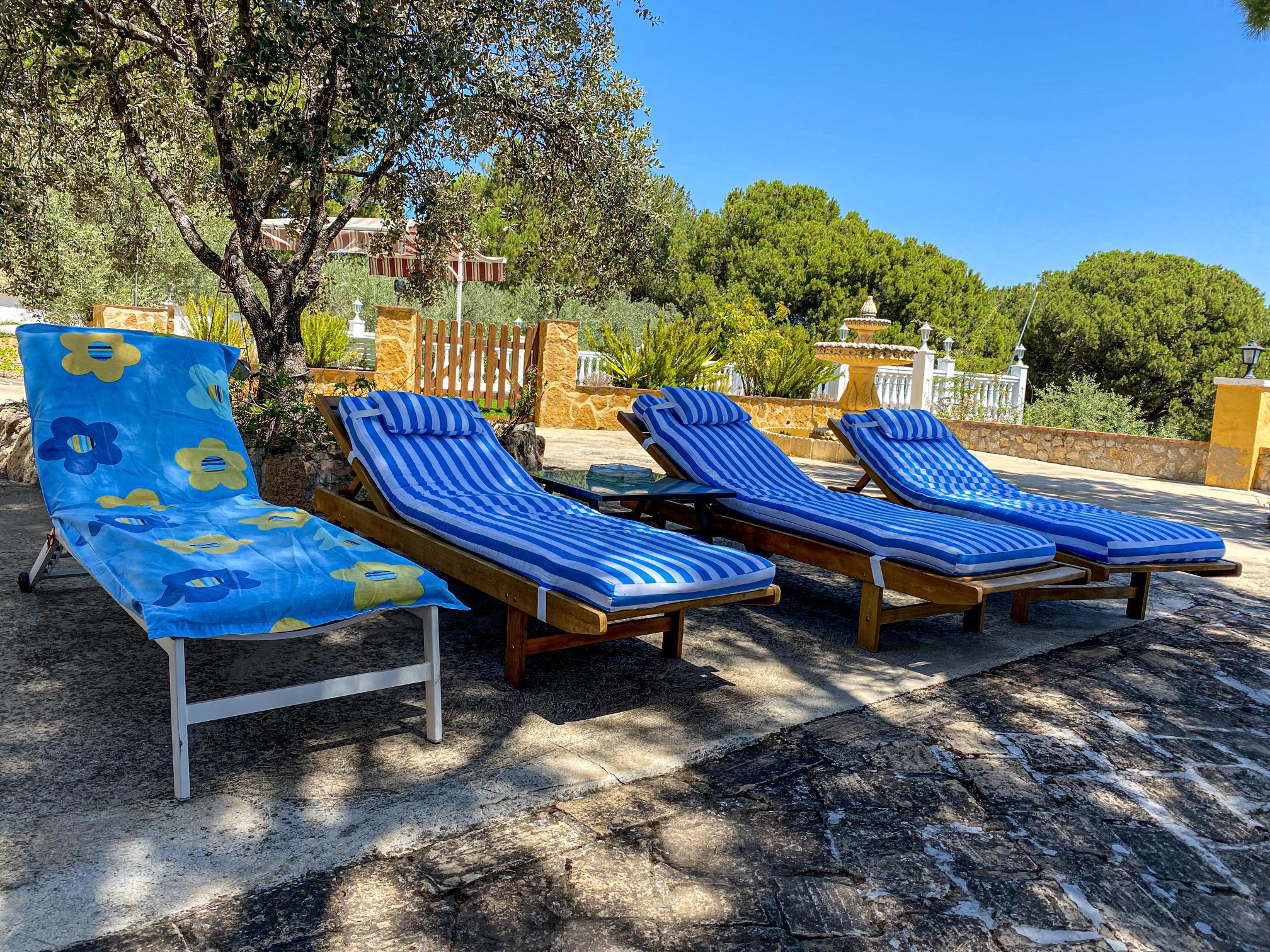 Imagen 36 Casa Rústica en venta en Andújar /  Viña junto al curce de la carretera de la Parrilla