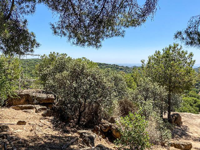 Imagen 33 Inmueble 289652 - Casa Rústica en venta en Andújar /  Viña junto al curce de la carretera de la Parrilla