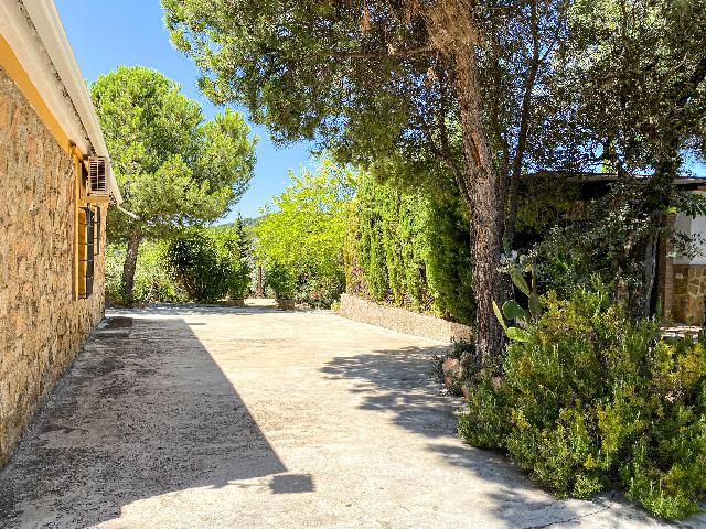 Imagen 19 Inmueble 289652 - Casa Rústica en venta en Andújar /  Viña junto al curce de la carretera de la Parrilla