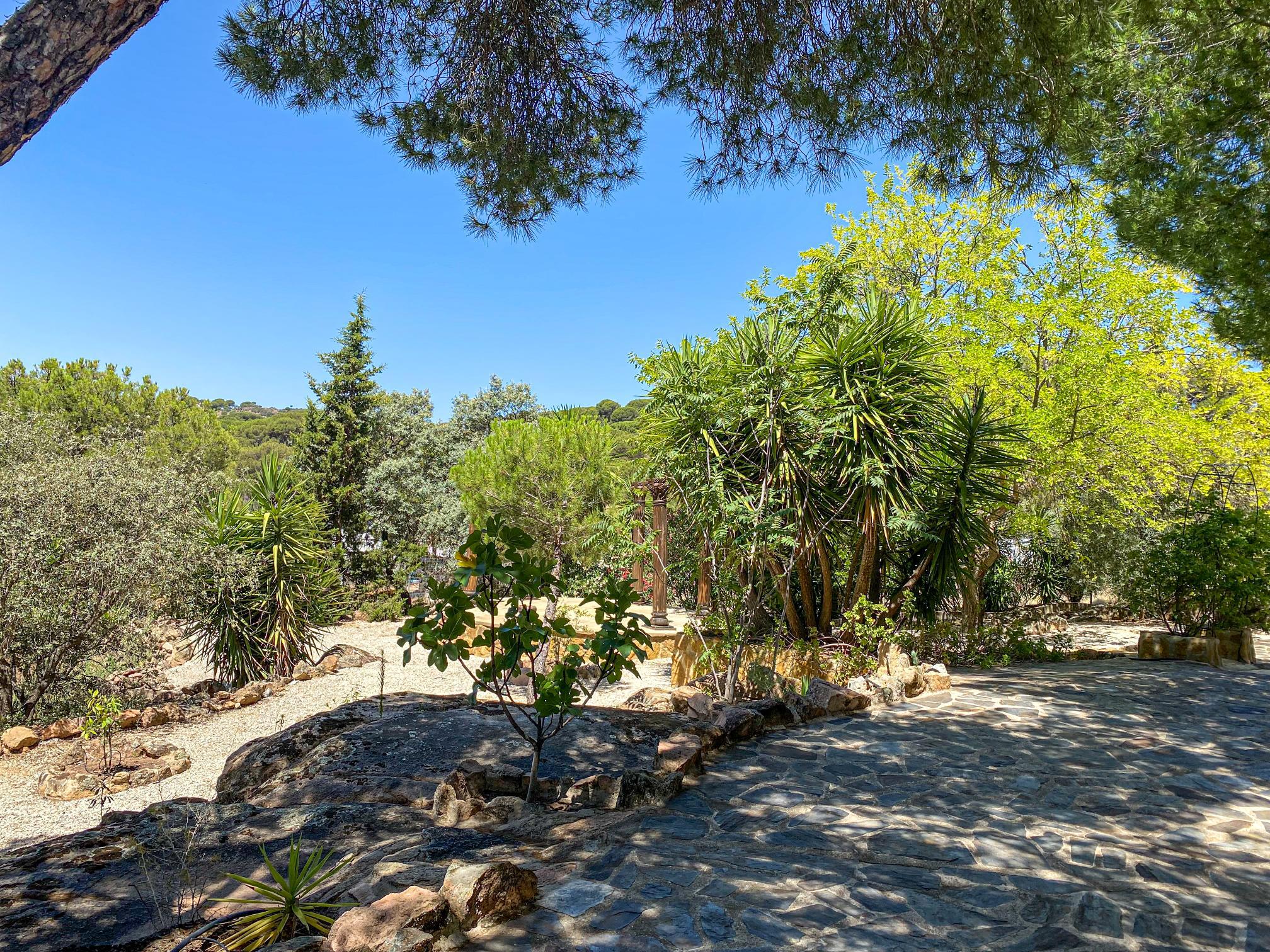 Imagen 39 Casa Rústica en venta en Andújar /  Viña junto al curce de la carretera de la Parrilla