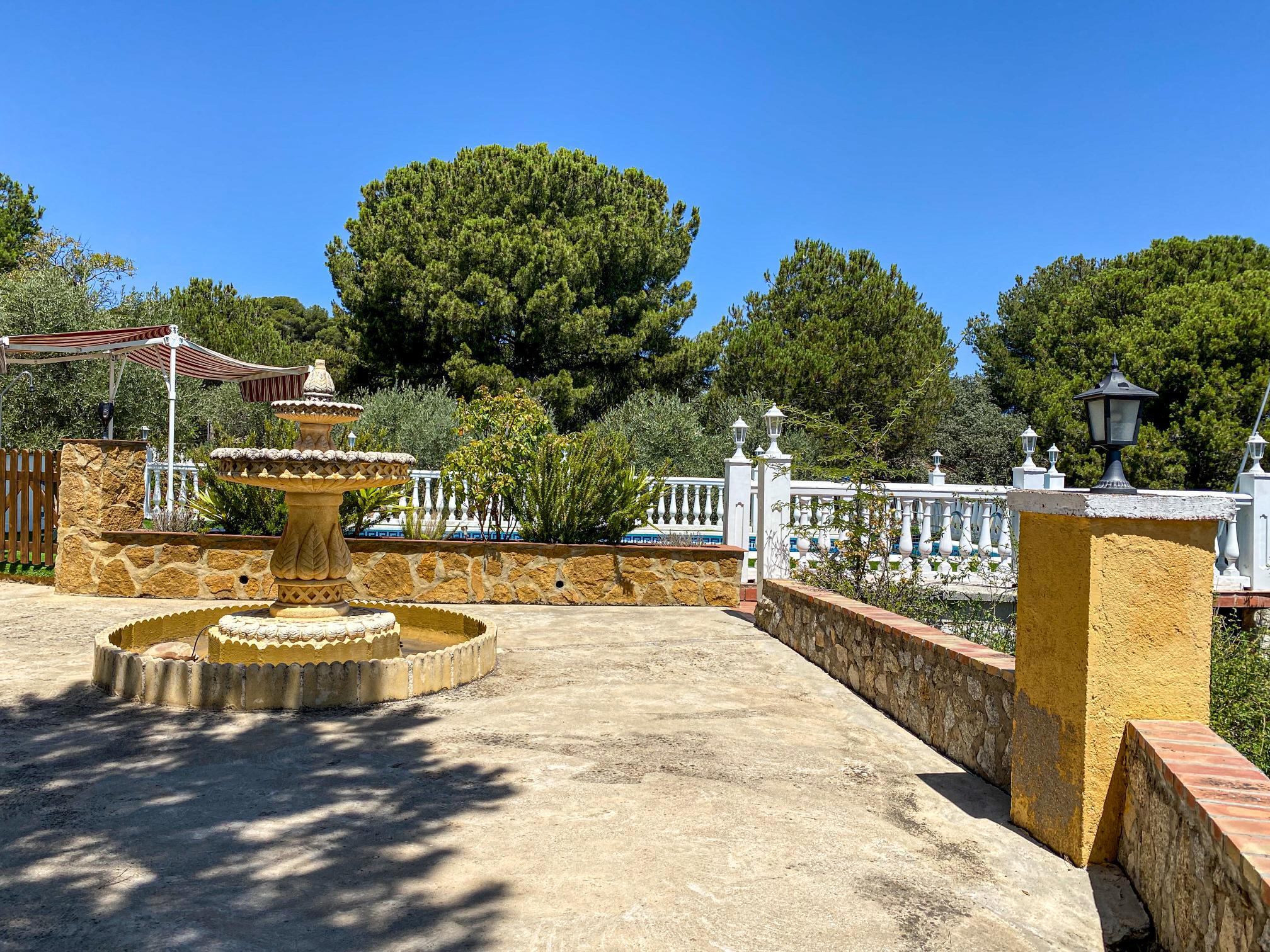 Imagen 41 Casa Rústica en venta en Andújar /  Viña junto al curce de la carretera de la Parrilla