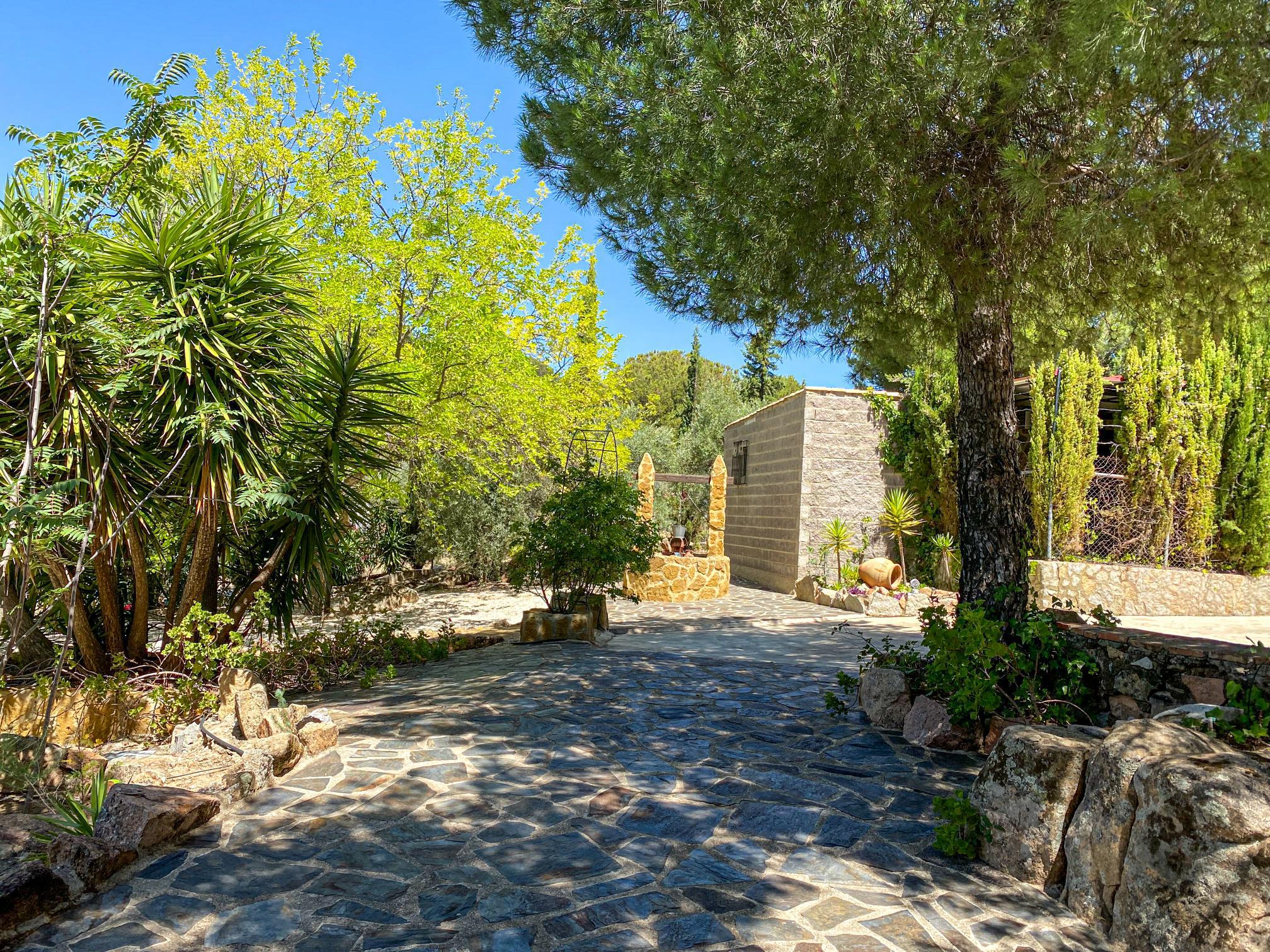 Imagen 38 Casa Rústica en venta en Andújar /  Viña junto al curce de la carretera de la Parrilla