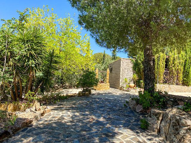 Imagen 38 Inmueble 289652 - Casa Rústica en venta en Andújar /  Viña junto al curce de la carretera de la Parrilla