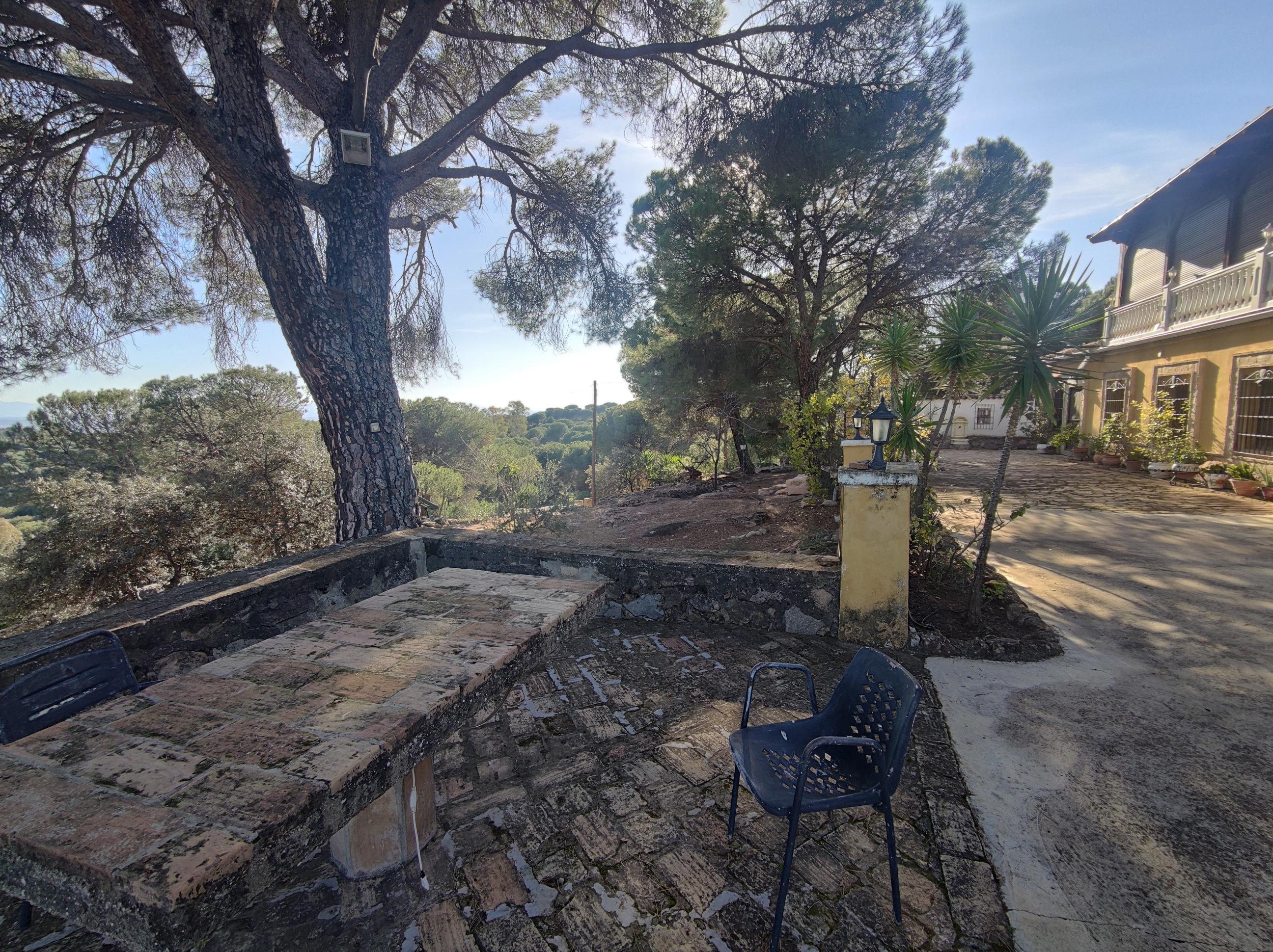 Imagen 22 Casa Rústica en venta en Andújar /  Viña junto al curce de la carretera de la Parrilla