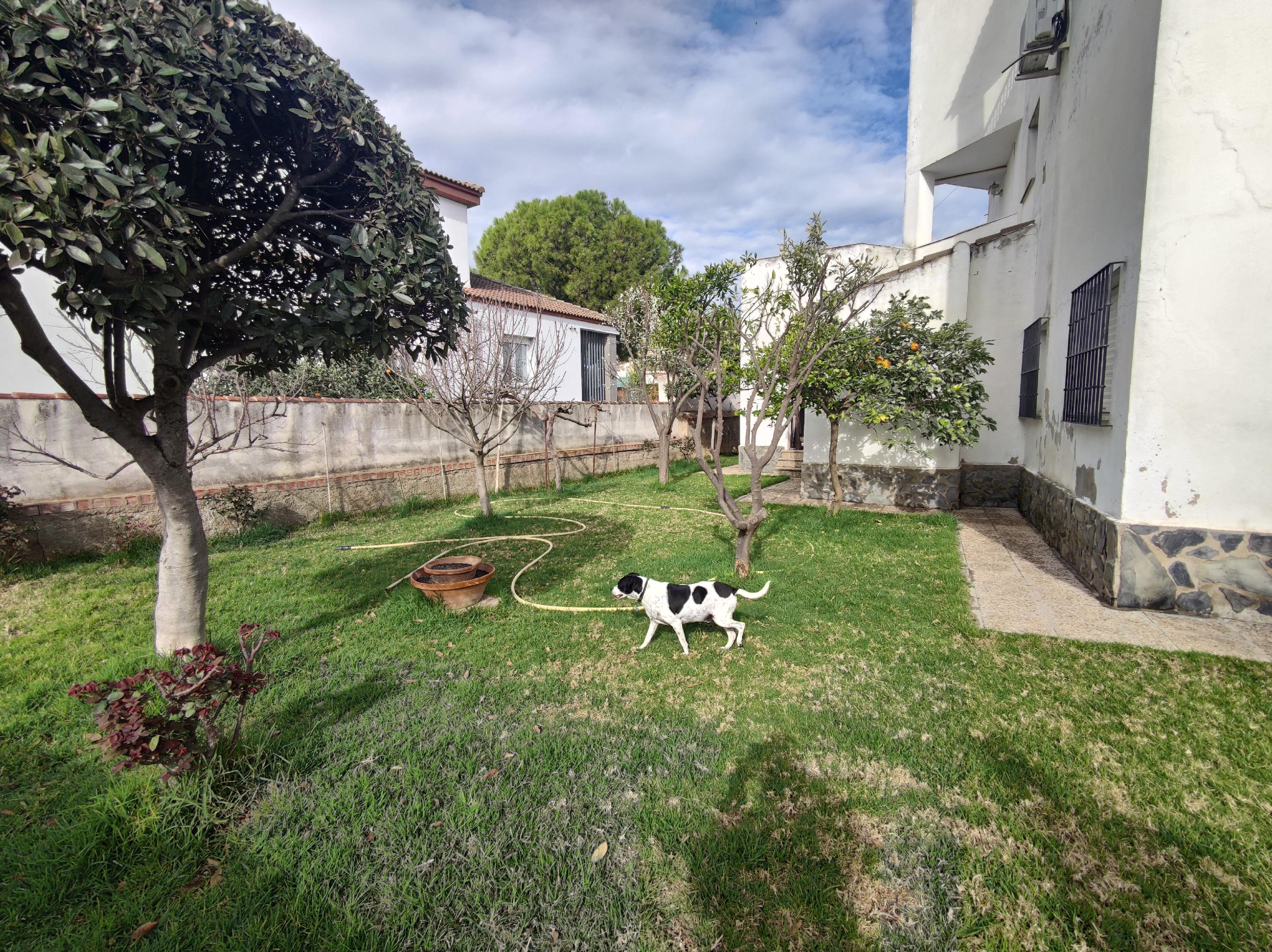 Imagen 4 Casa Aislada en venta en Andújar / Urbanización  Chalets El Choto