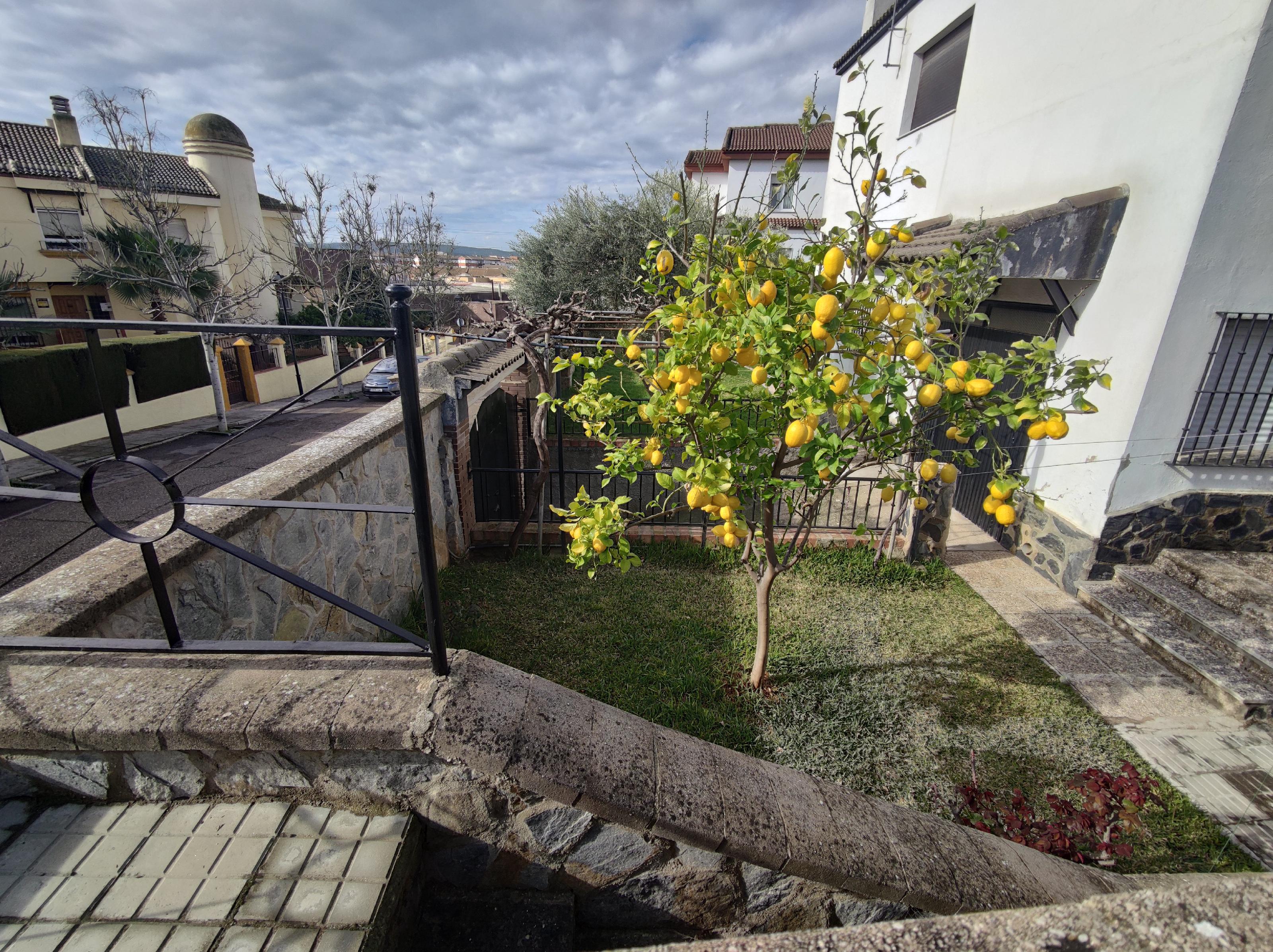 Imagen 8 Casa Aislada en venta en Andújar / Urbanización  Chalets El Choto