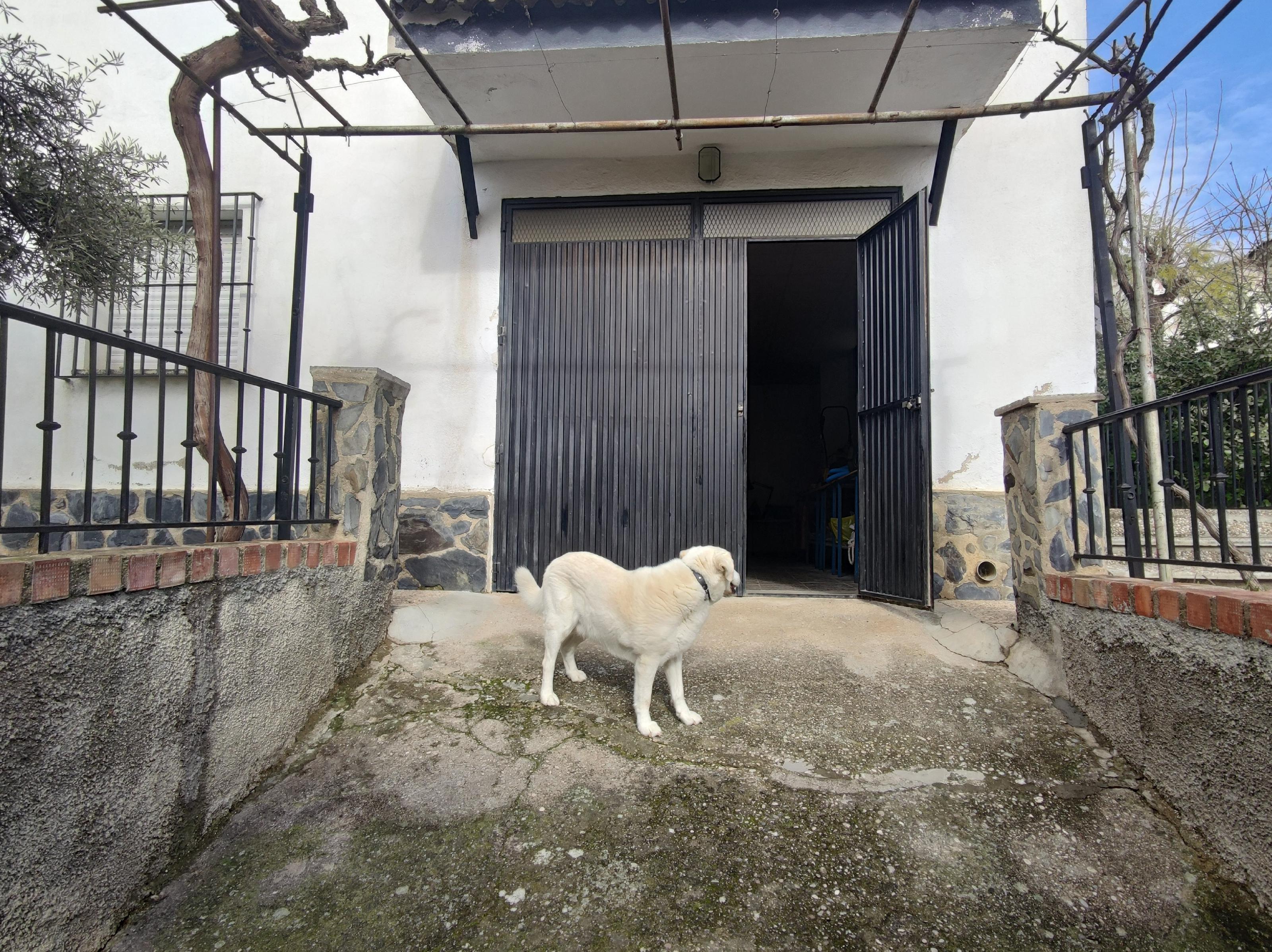 Imagen 69 Casa Aislada en venta en Andújar / Urbanización  Chalets El Choto