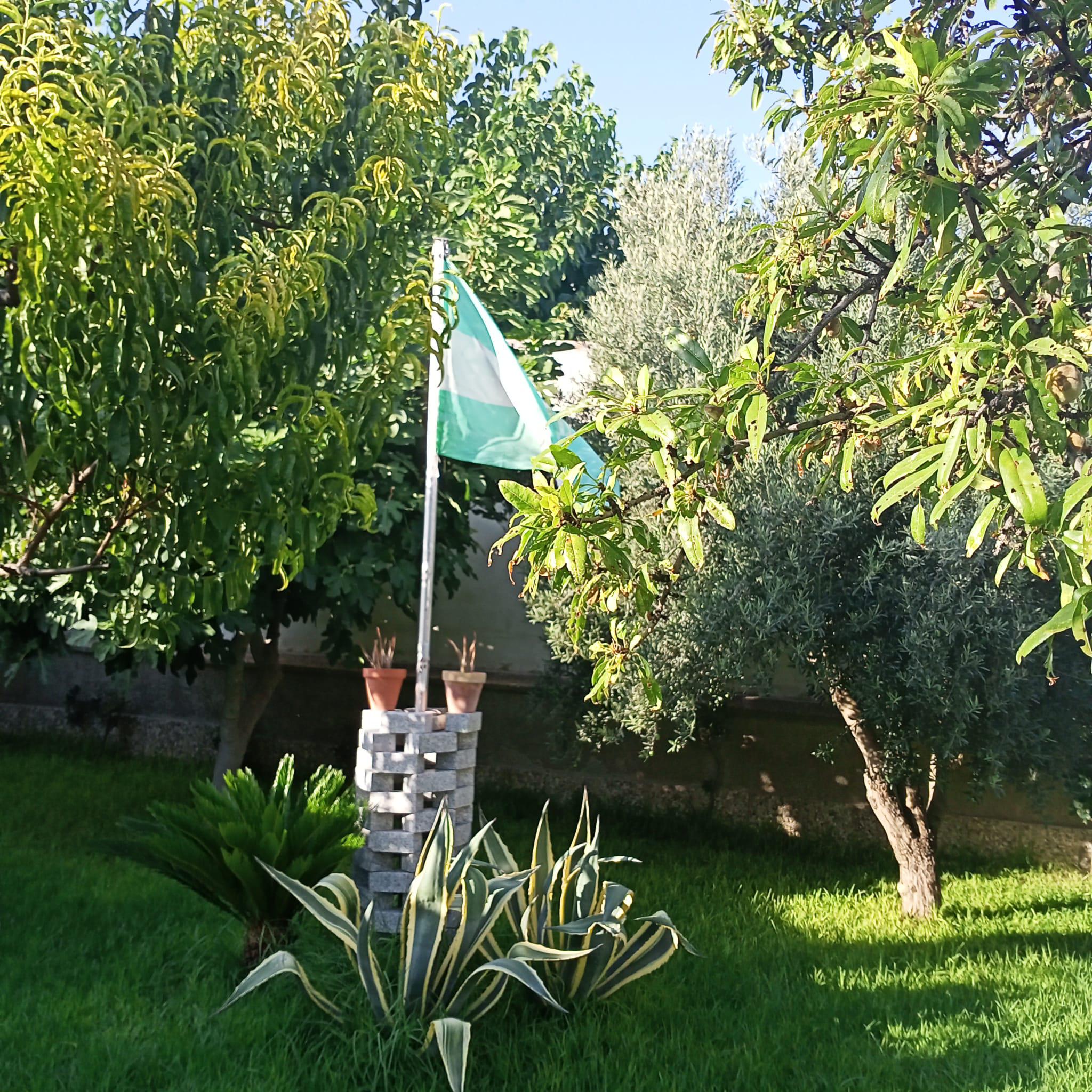 Imagen 81 Casa Aislada en venta en Andújar / Urbanización  Chalets El Choto