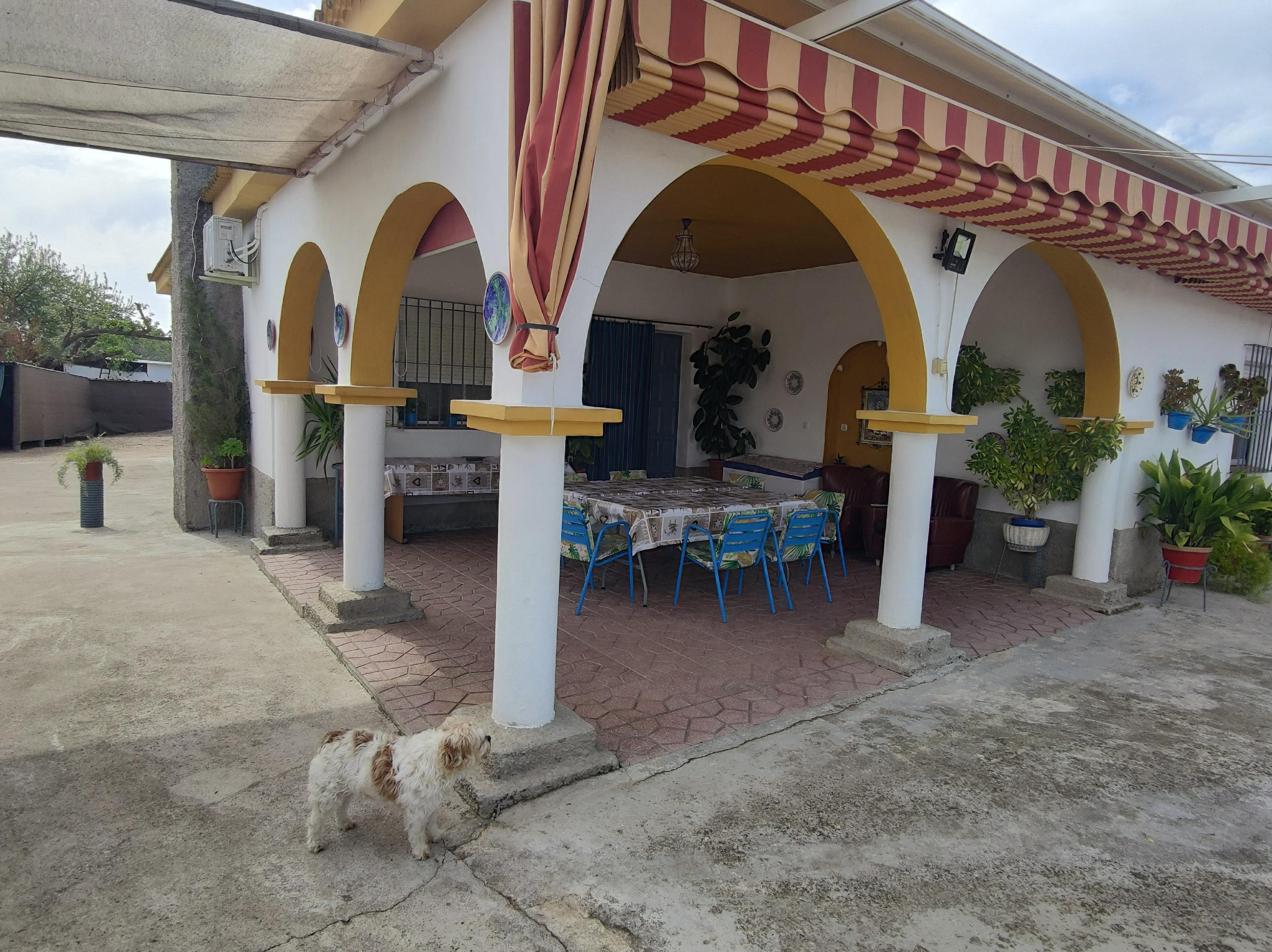 Imagen 3 Casa Aislada en venta en Andújar / A tan solo 5 minutos de Andújar , zona Parrilla