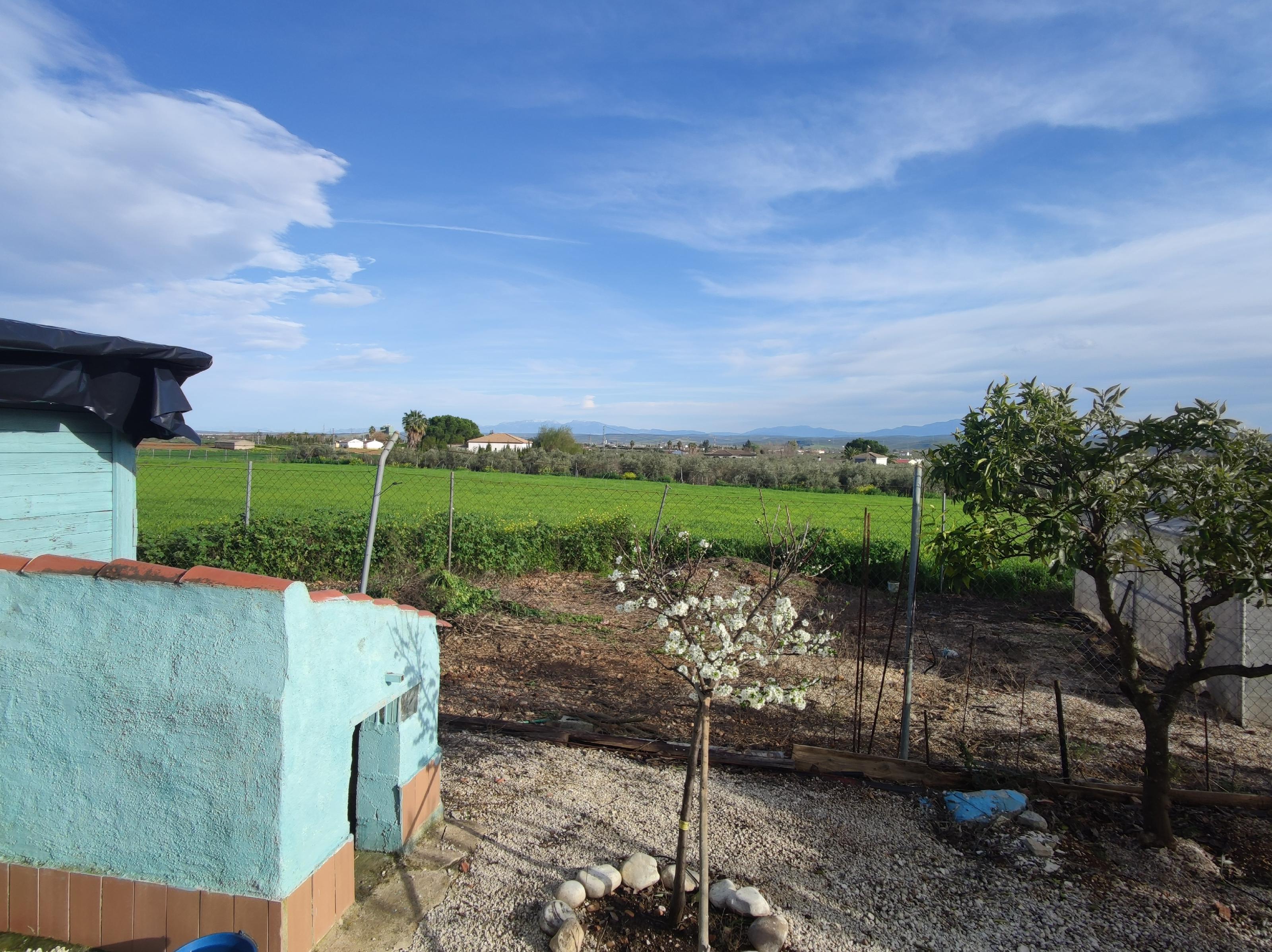Imagen 48 Casa Rústica en venta en Andújar / Carretera de la Virgen, a 3 Km de Andújar