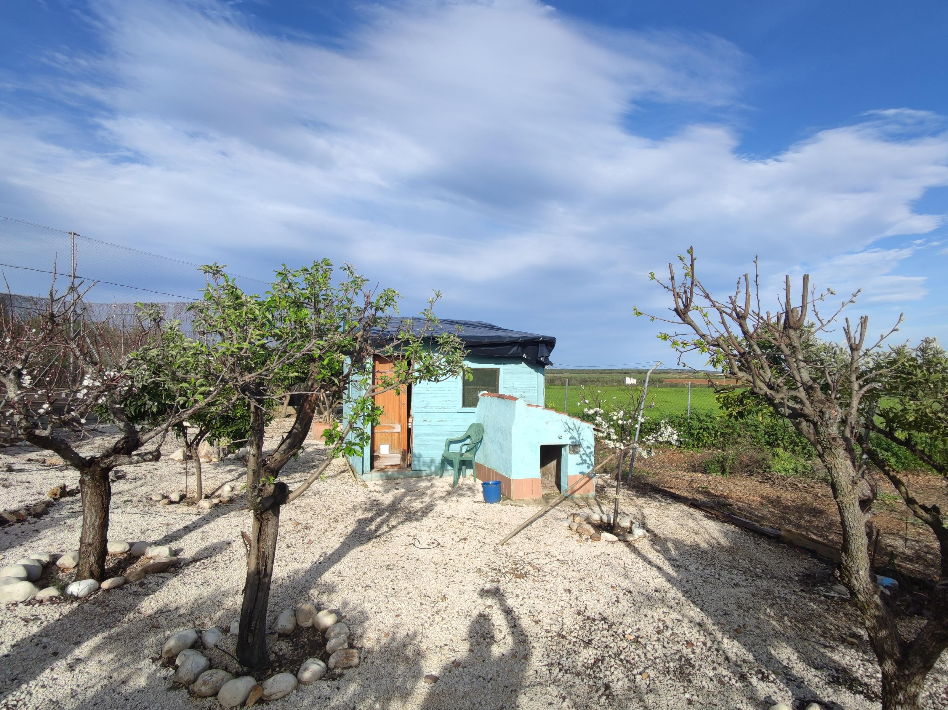 Imagen 47 Casa Rústica en venta en Andújar / Carretera de la Virgen, a 3 Km de Andújar