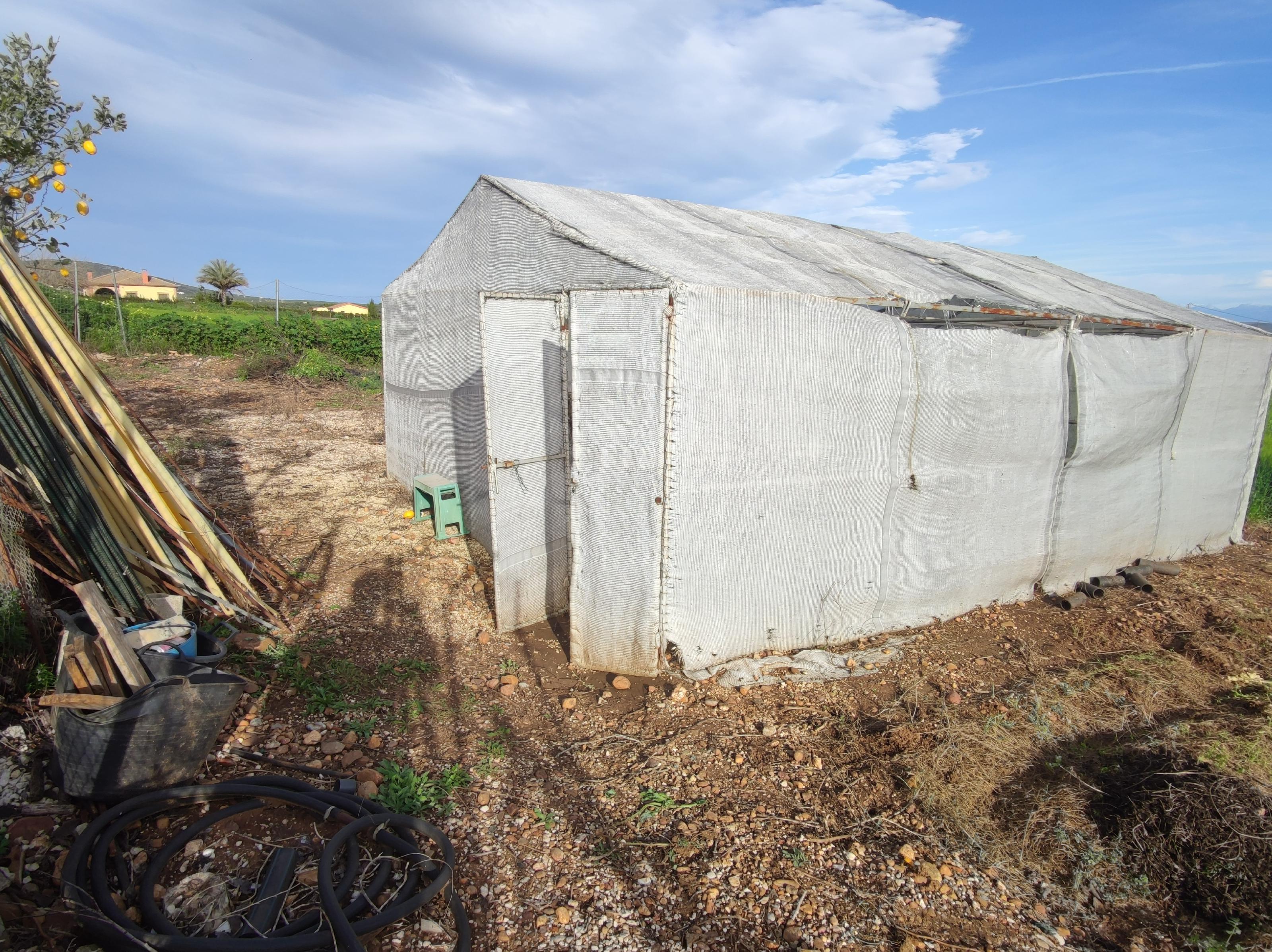 Imagen 49 Casa Rústica en venta en Andújar / Carretera de la Virgen, a 3 Km de Andújar