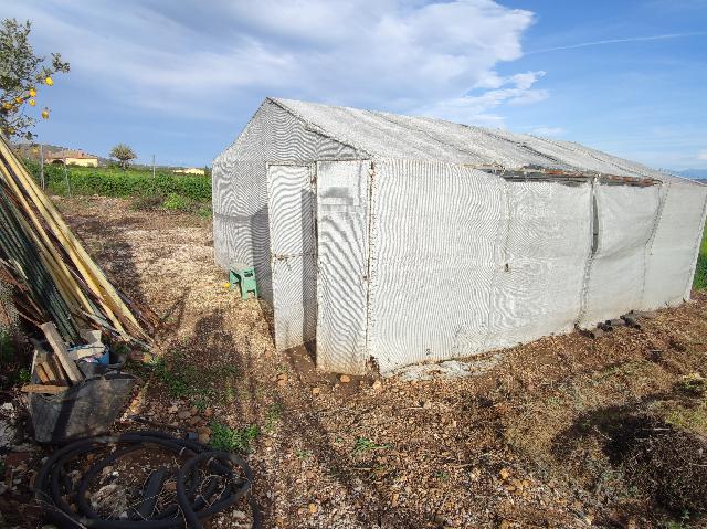 Imagen 49 Inmueble 292023 - Casa Rústica en venta en Andújar / Carretera de la Virgen, a 3 Km de Andújar