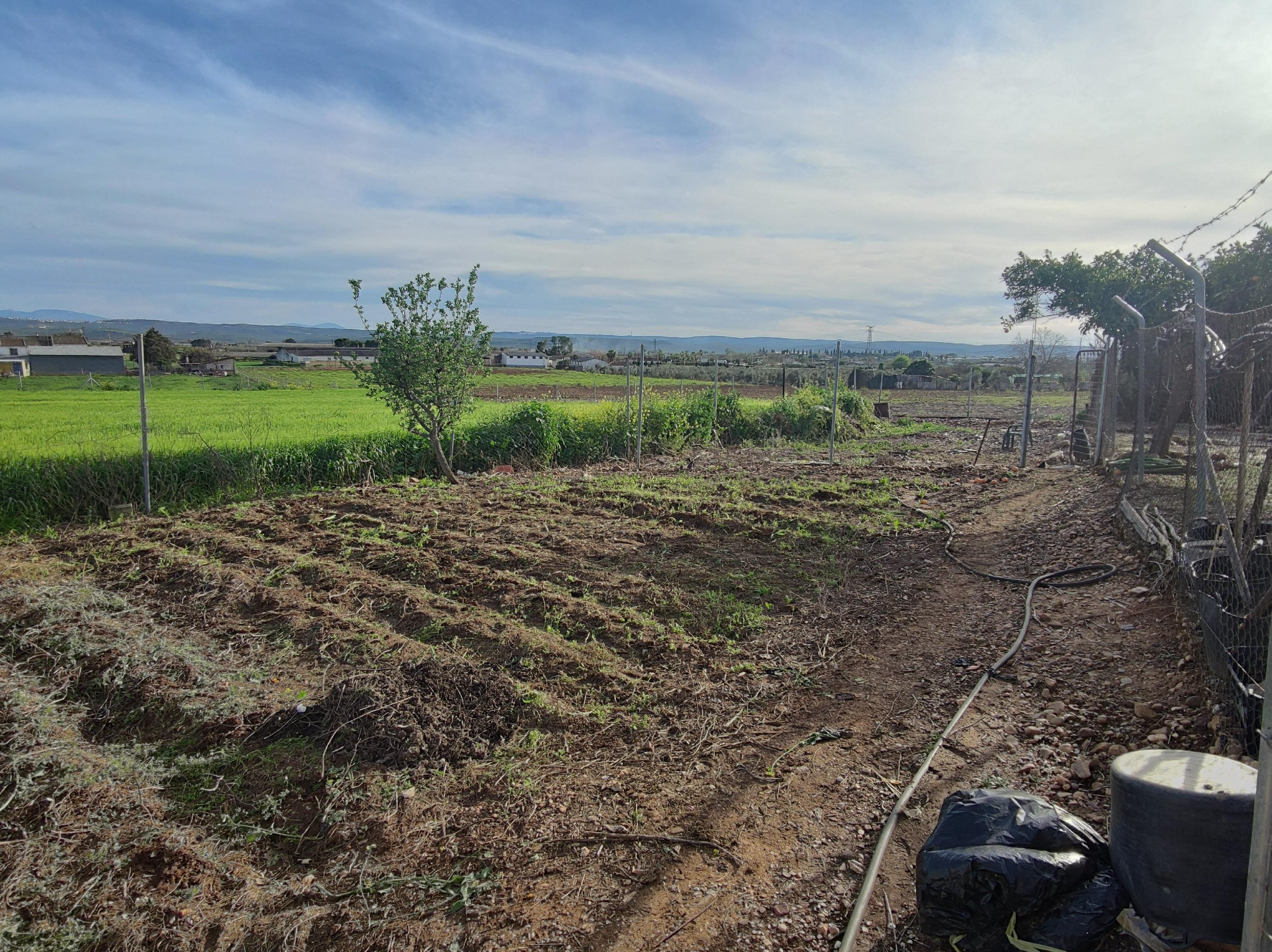 Imagen 50 Casa Rústica en venta en Andújar / Carretera de la Virgen, a 3 Km de Andújar