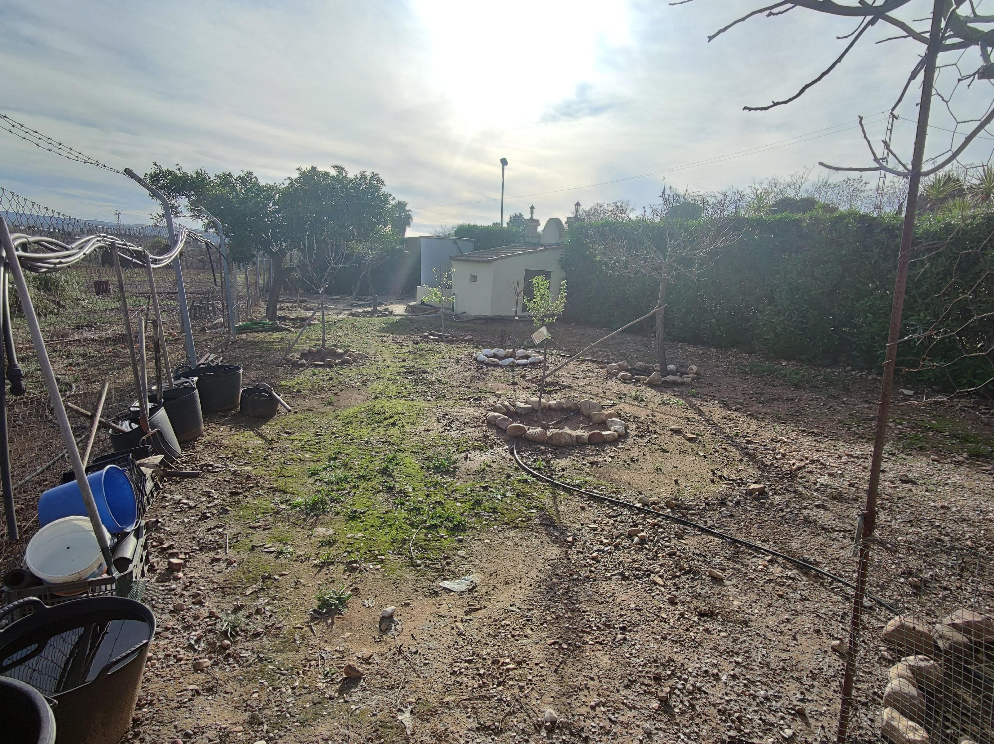 Imagen 51 Casa Rústica en venta en Andújar / Carretera de la Virgen, a 3 Km de Andújar