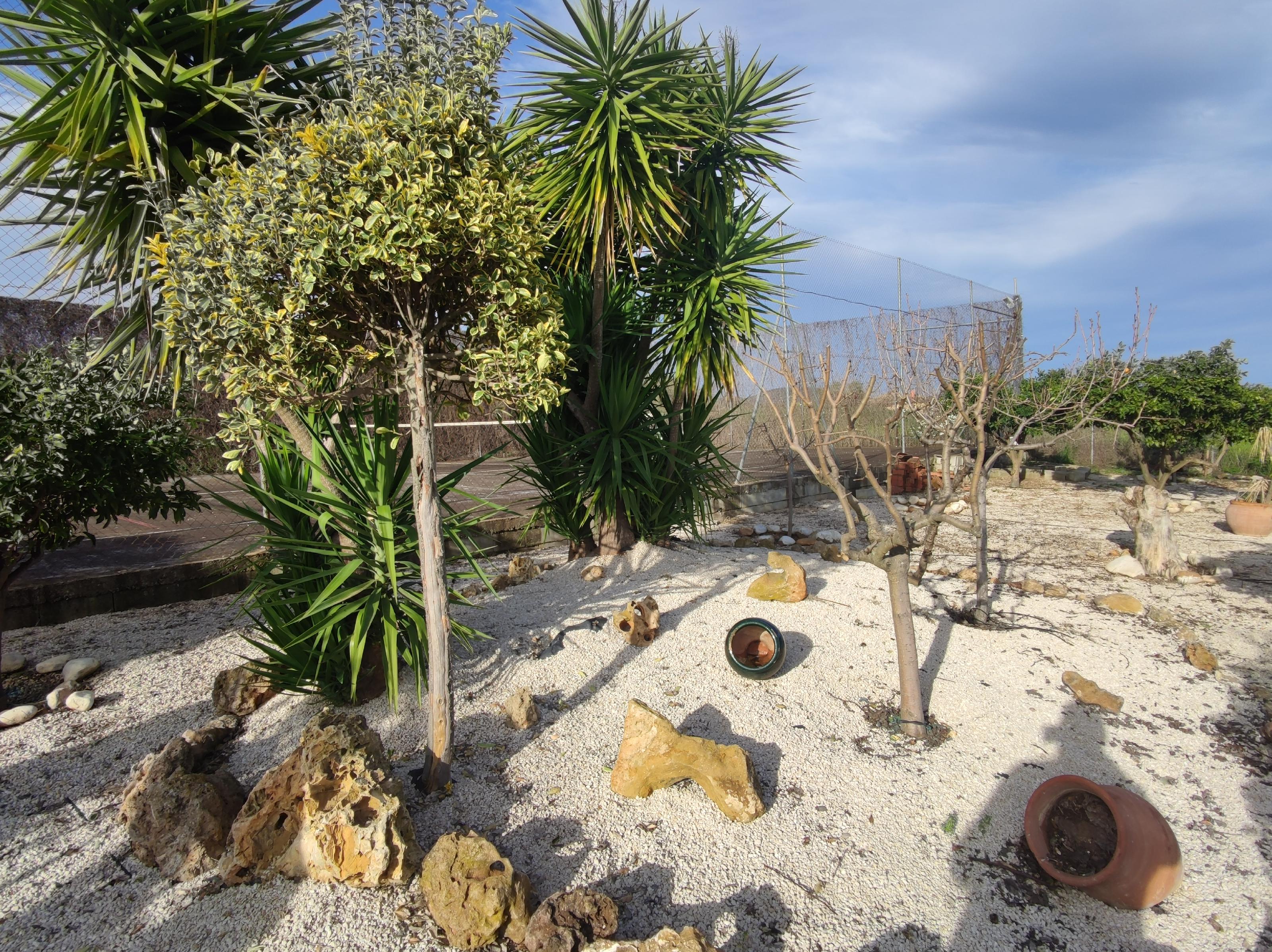 Imagen 43 Casa Rústica en venta en Andújar / Carretera de la Virgen, a 3 Km de Andújar