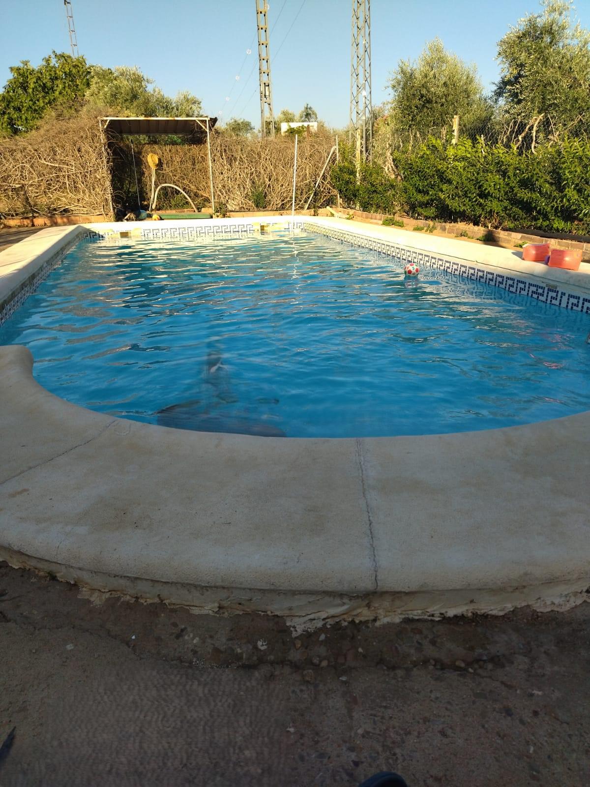 Imagen 6 Casa Rústica en venta en Andújar / Carretera Virgen de la Cabeza, a 3 minutos de Andújar