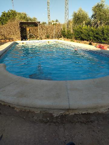 Imagen 6 Inmueble 292577 - Casa Rústica en venta en Andújar / Carretera Virgen de la Cabeza, a 3 minutos de Andújar