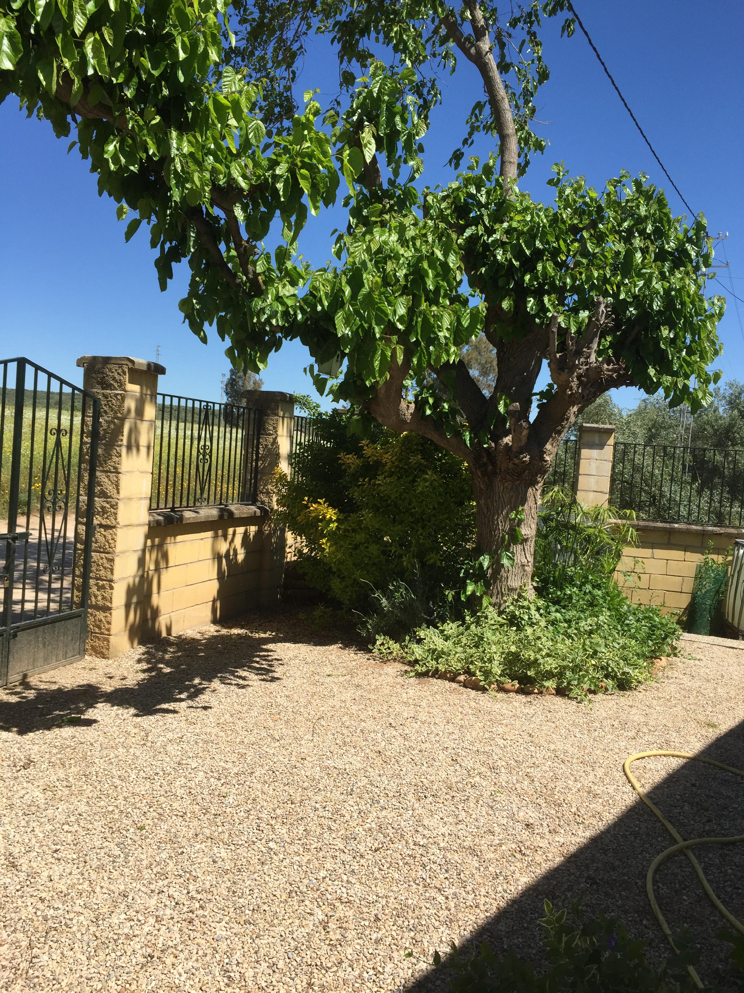 Imagen 3 Casa Rústica en venta en Andújar / Ctra,Arroyo Escobar a 5 minutos de Andújar