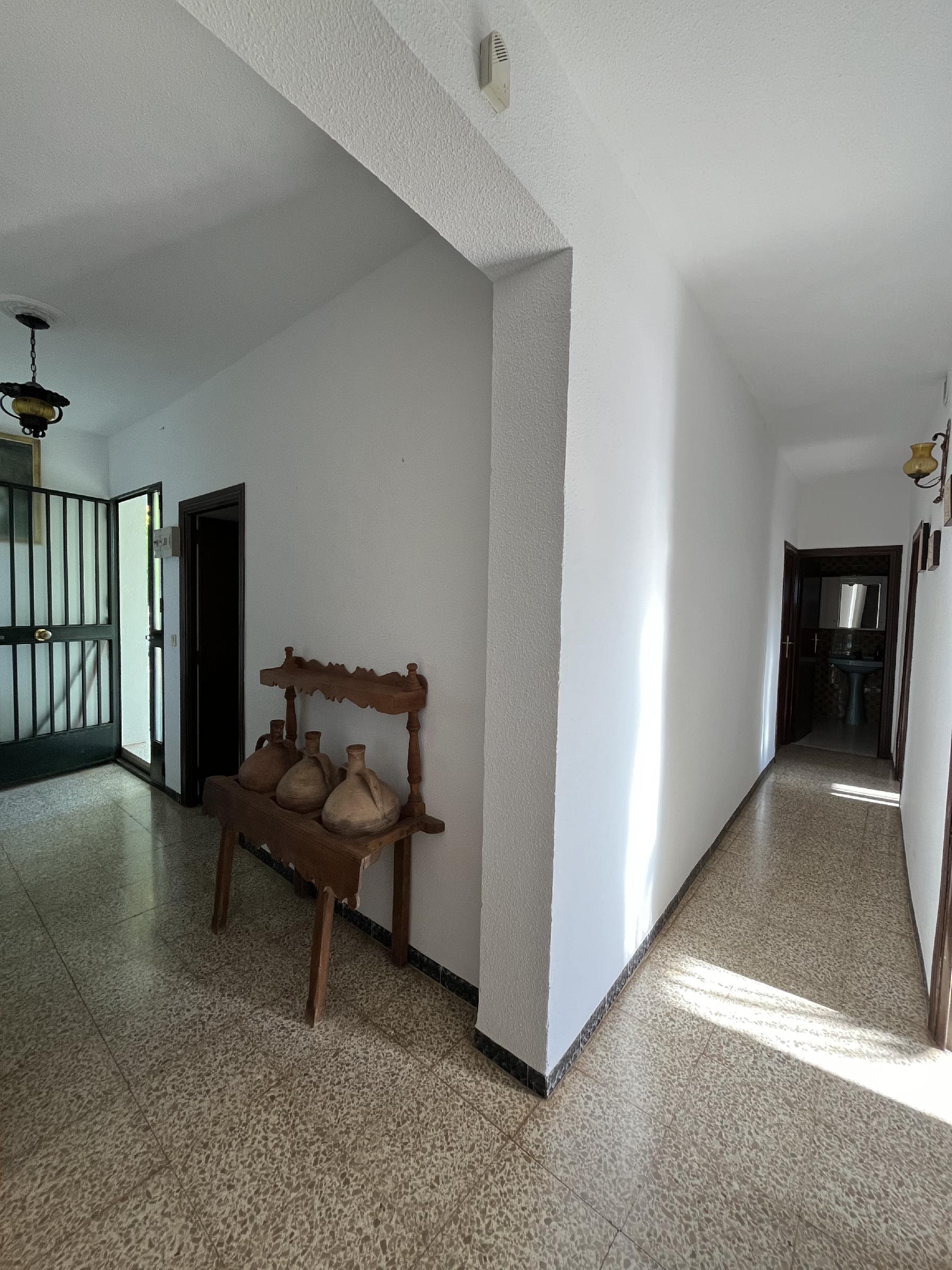 Imagen 8 Casa Rústica en venta en Andújar / Ctra,Arroyo Escobar a 5 minutos de Andújar