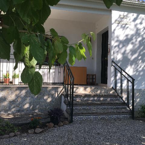 Imagen 5 Inmueble 293147 - Casa Rústica en venta en Andújar / Ctra,Arroyo Escobar a 5 minutos de Andújar