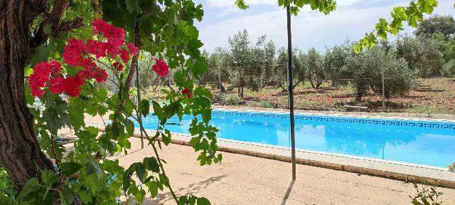 Imagen 1 Inmueble 293147 - Casa Rústica en venta en Andújar / Ctra,Arroyo Escobar a 5 minutos de Andújar