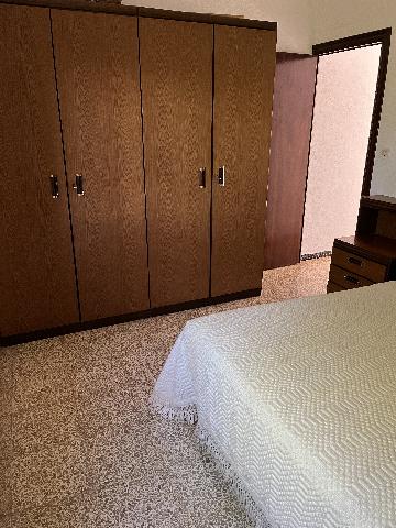 Imagen 11 Inmueble 293147 - Casa Rústica en venta en Andújar / Ctra,Arroyo Escobar a 5 minutos de Andújar