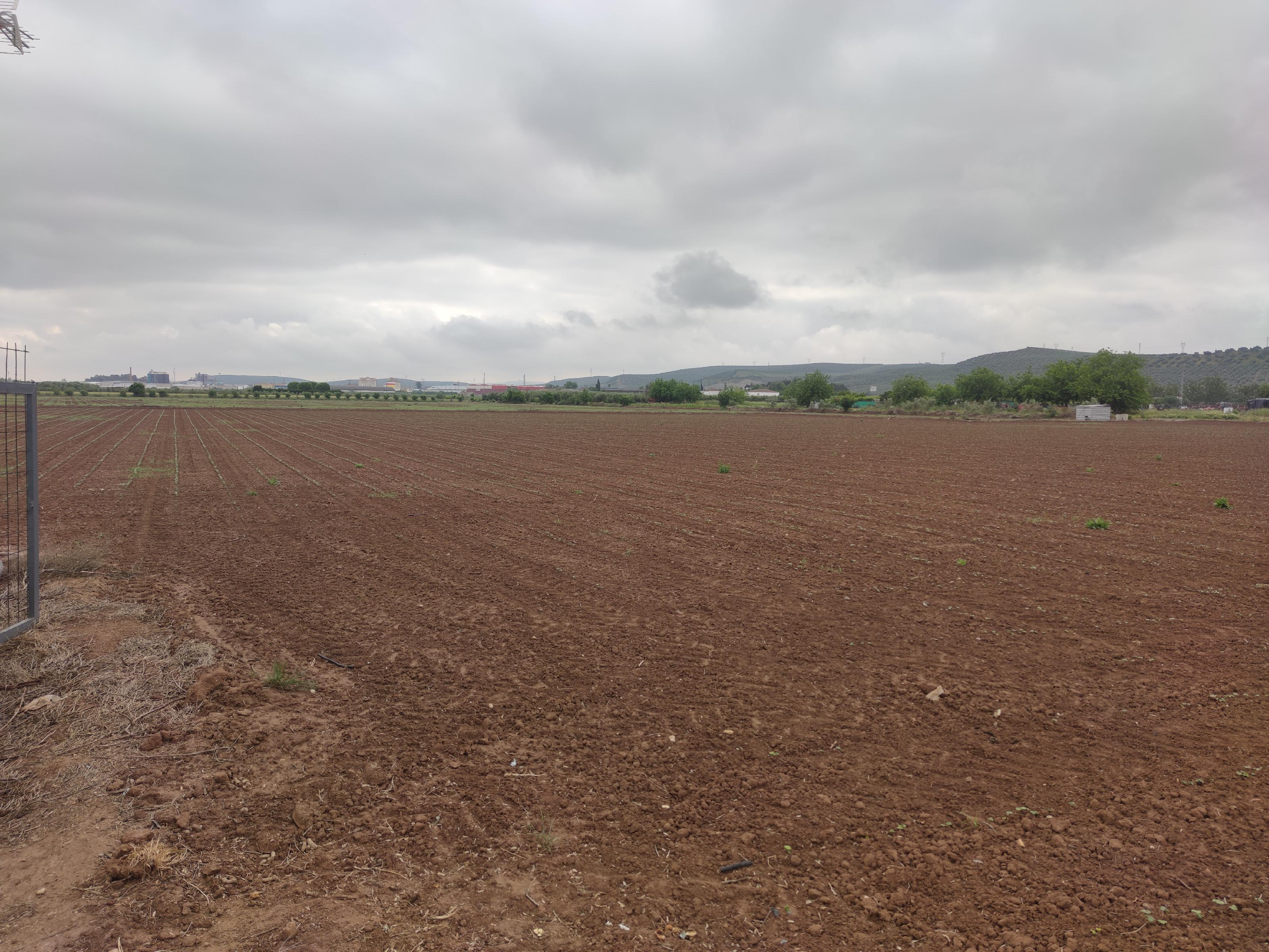 Imagen 16 Casa Rústica en venta en Andújar / En la población del Sotillo