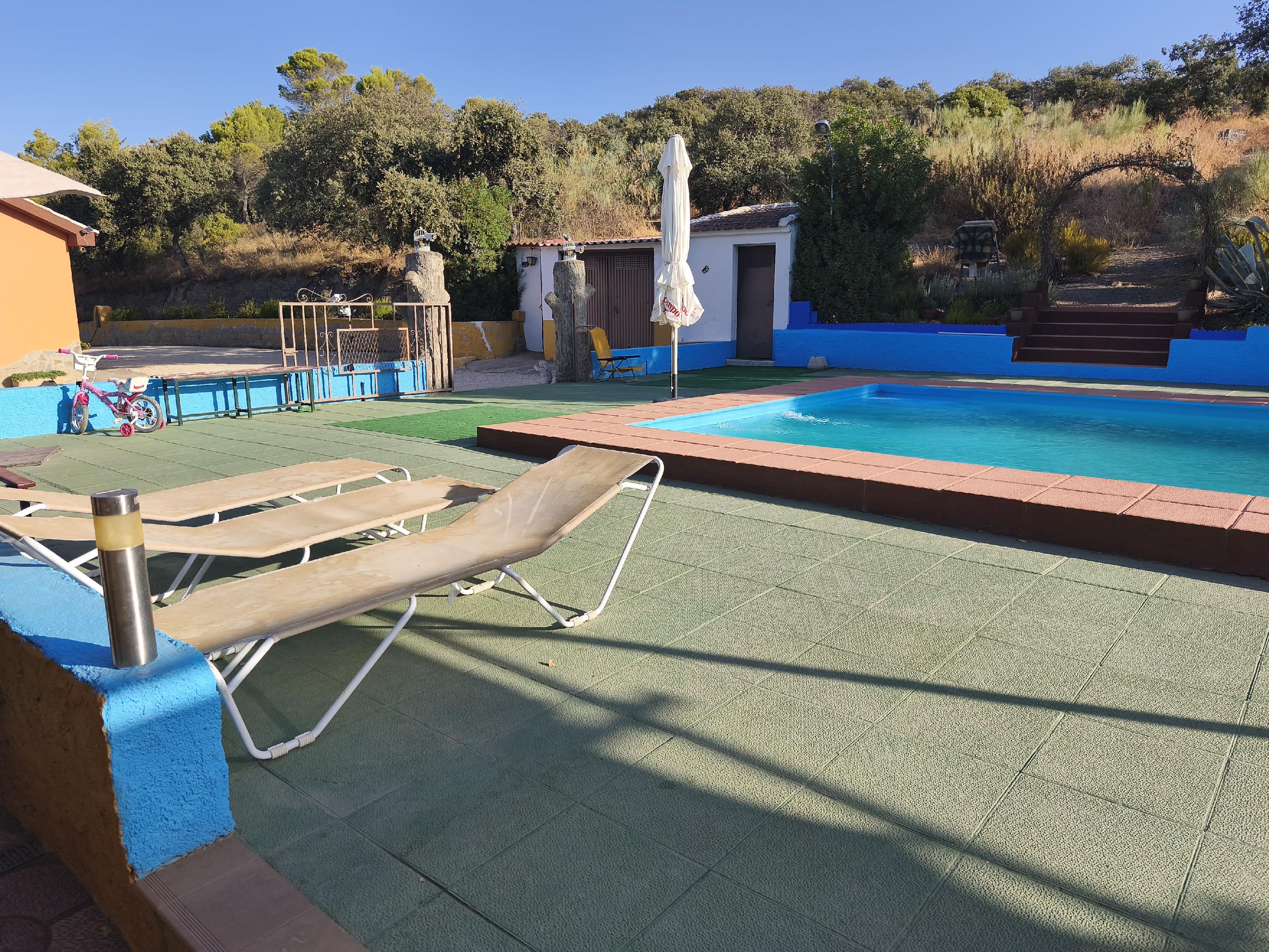 Imagen 19 Casa Rústica en venta en Andújar / A 1 km pasando el Toledillo 