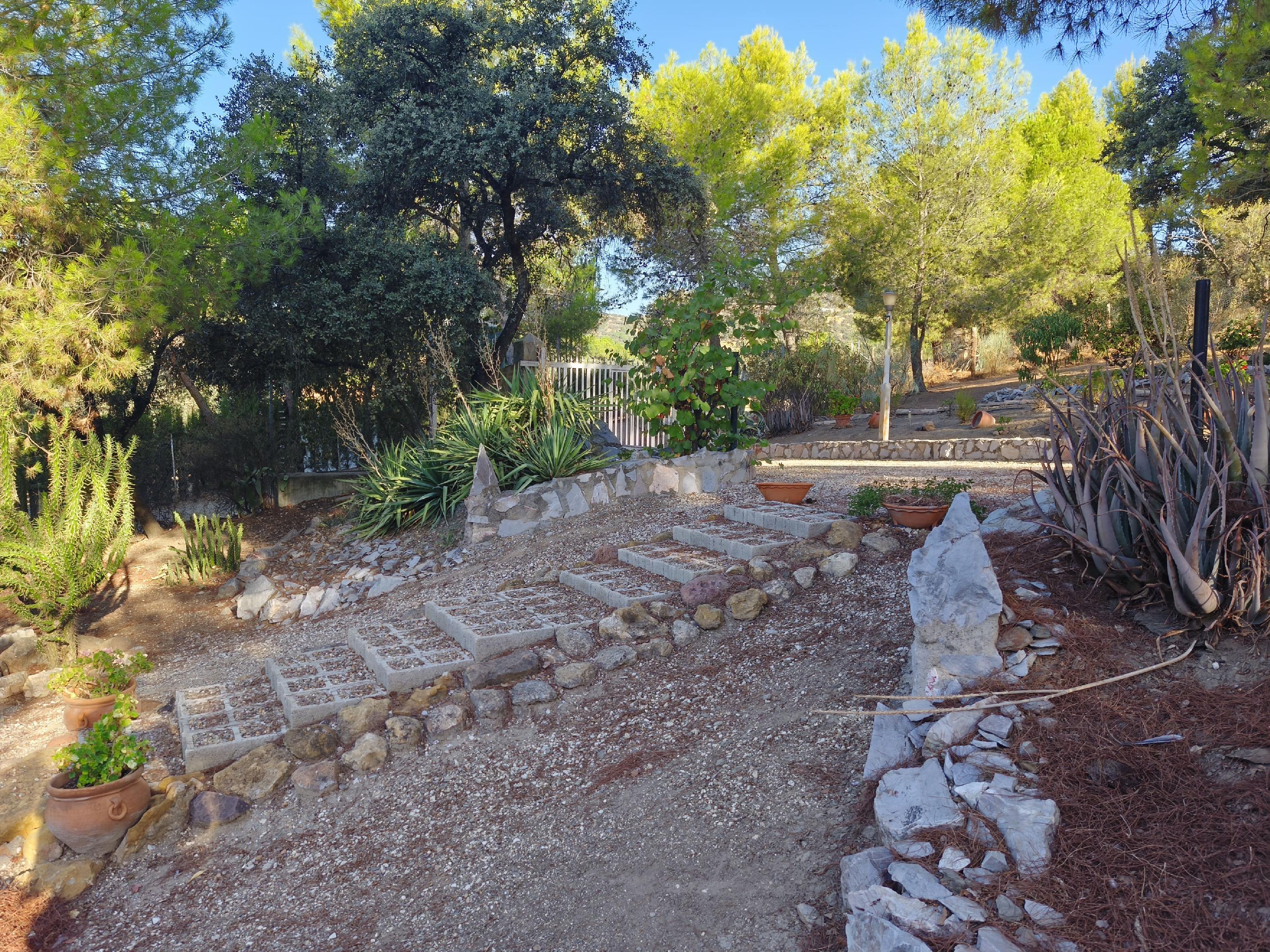 Imagen 28 Casa Rústica en venta en Andújar / A 1 km pasando el Toledillo 