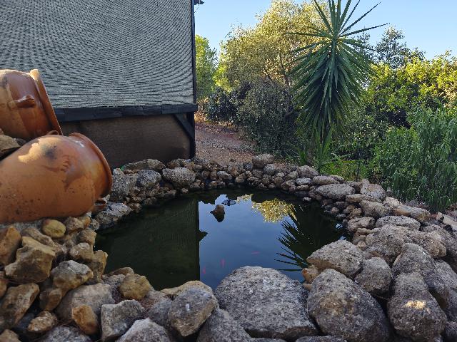 Imagen 29 Inmueble 296717 - Casa Rústica en venta en Andújar / A 1 km pasando el Toledillo 