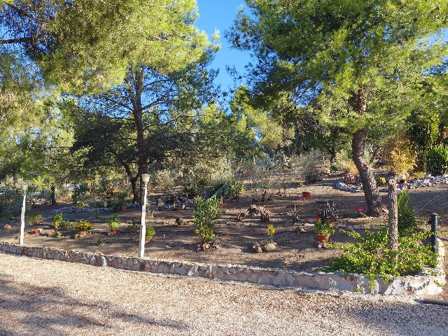 Imagen 27 Inmueble 296717 - Casa Rústica en venta en Andújar / A 1 km pasando el Toledillo 