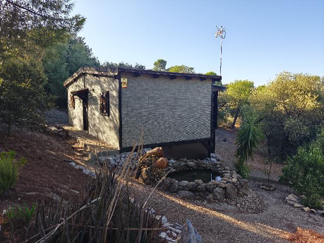 Imagen 30 Inmueble 296717 - Casa Rústica en venta en Andújar / A 1 km pasando el Toledillo 